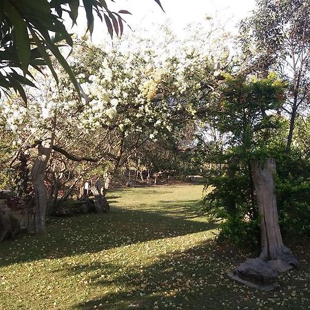 Pousada Sitio Da Serra Carrancas Eksteriør bilde