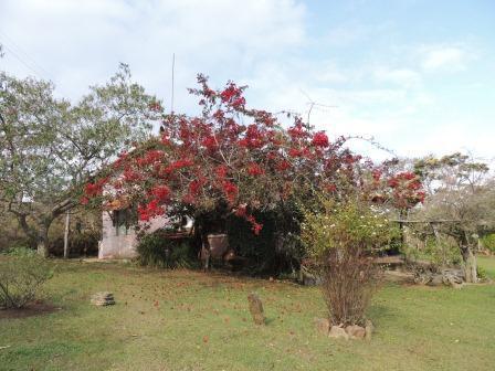 Pousada Sitio Da Serra Carrancas Eksteriør bilde