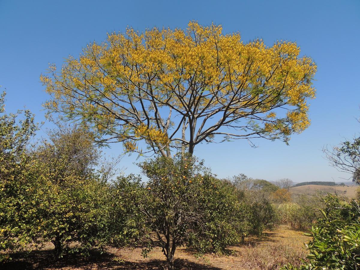 Pousada Sitio Da Serra Carrancas Eksteriør bilde