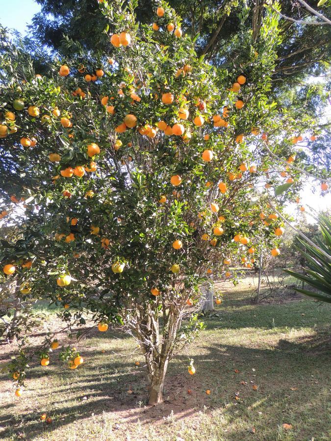 Pousada Sitio Da Serra Carrancas Eksteriør bilde